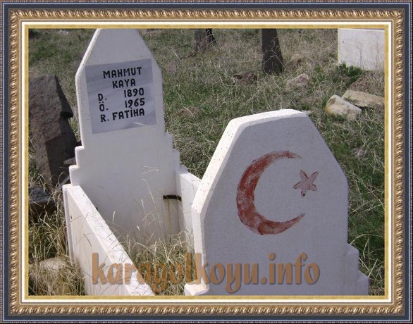 MAHMUT KAYA