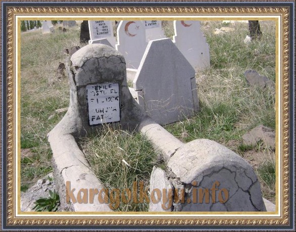 CEMİLE �ST�NEL