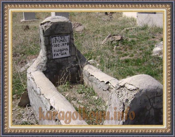 DERVİŞ �ST�NEL