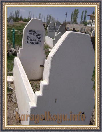D�NE HAST�RK