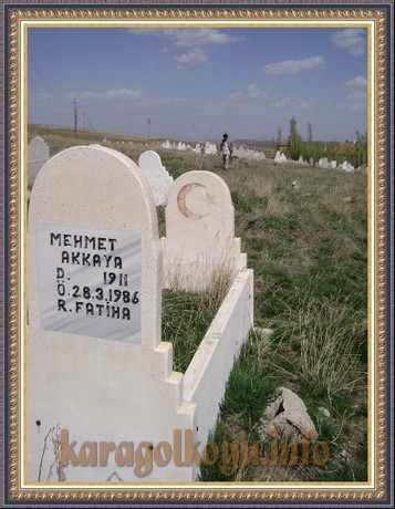 MEHMET AKKAYA