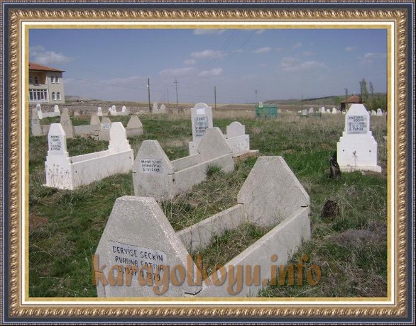 DERVİŞE SE�KİN