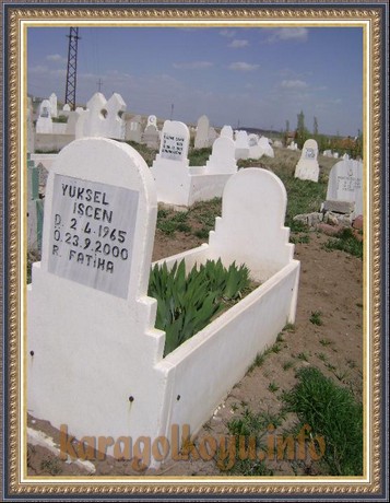 Y�KSEL SE�KİN