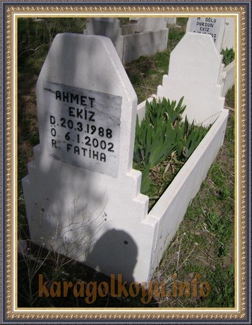 AHMET EKİZ