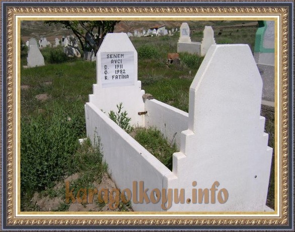 SENEM AVCI