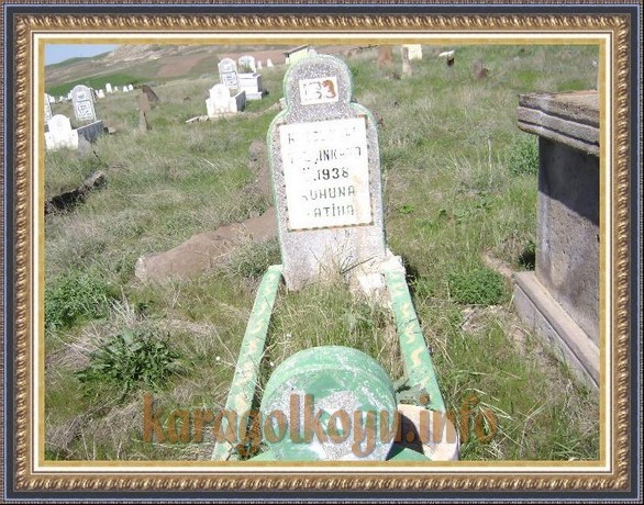 HAZEL KARI YAL�INKAYA