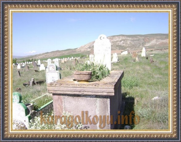 KEMAL YAL�INKAYA