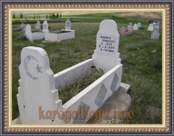 HANİFE DİN�SOY