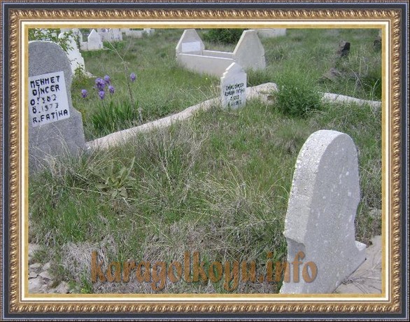 MEHMET DİN�ER