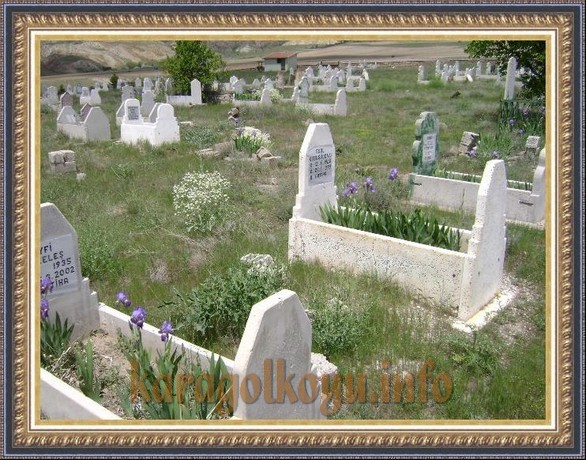 EKİZ KUZUG�DENLİ