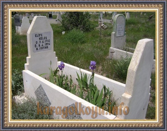 ELİFE KELEŞ