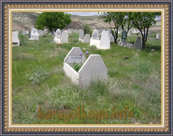 �NDER BENLİSOY