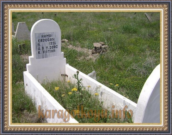 HAMDİ ERDOĞAN