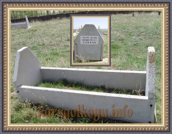 HALİME SE�KİN
