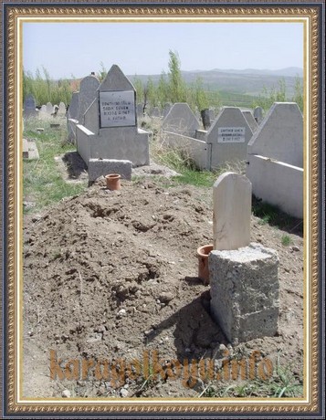 SNV33327.JPG