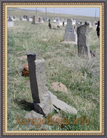 SNV33350.JPG