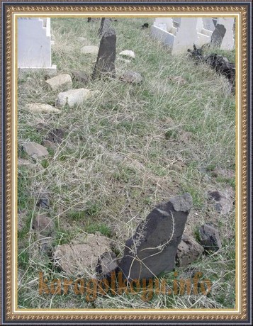 SNV33371.JPG