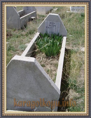 RECEP HAST�RK