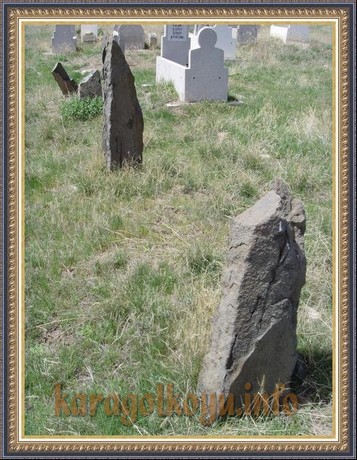 SNV33411.JPG