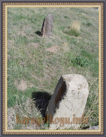 ALİ SUNAR