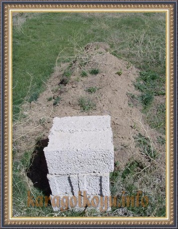 SNV33456.JPG