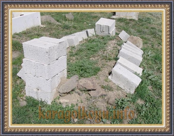 SNV33457.JPG
