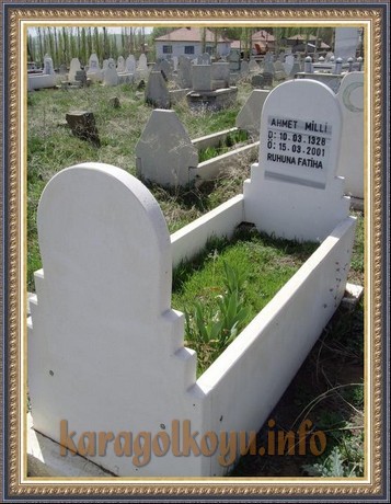 AHMET MİLLİ